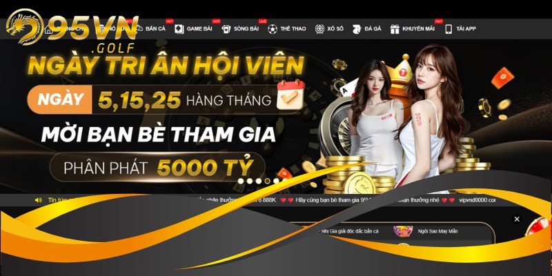 Đôi nét về thương hiệu 95VN